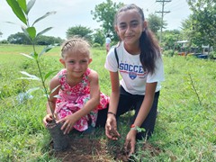 Actividades Medio Ambiente