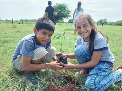 Actividades Medio Ambiente